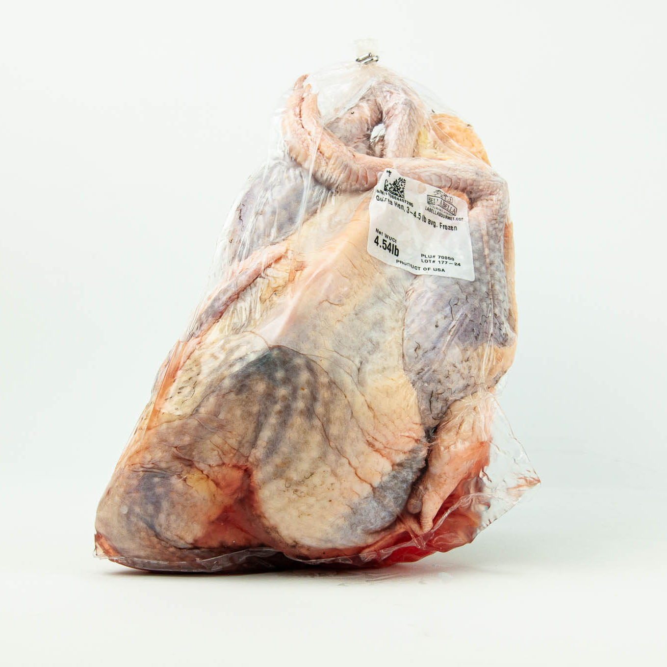 Guinea Hen (Buddha Style)