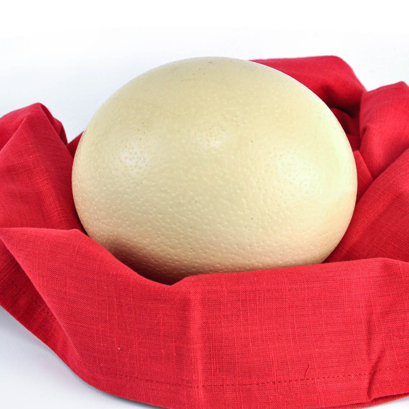 Ostrich Egg (Fresh) Seasonal