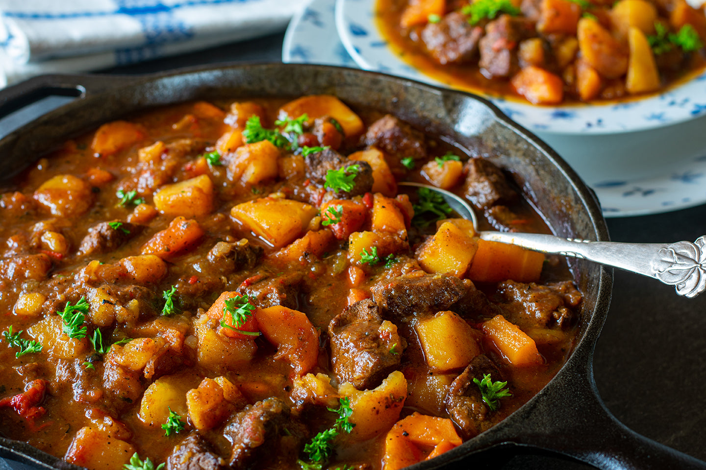 Bison Stew with Root Vegetables