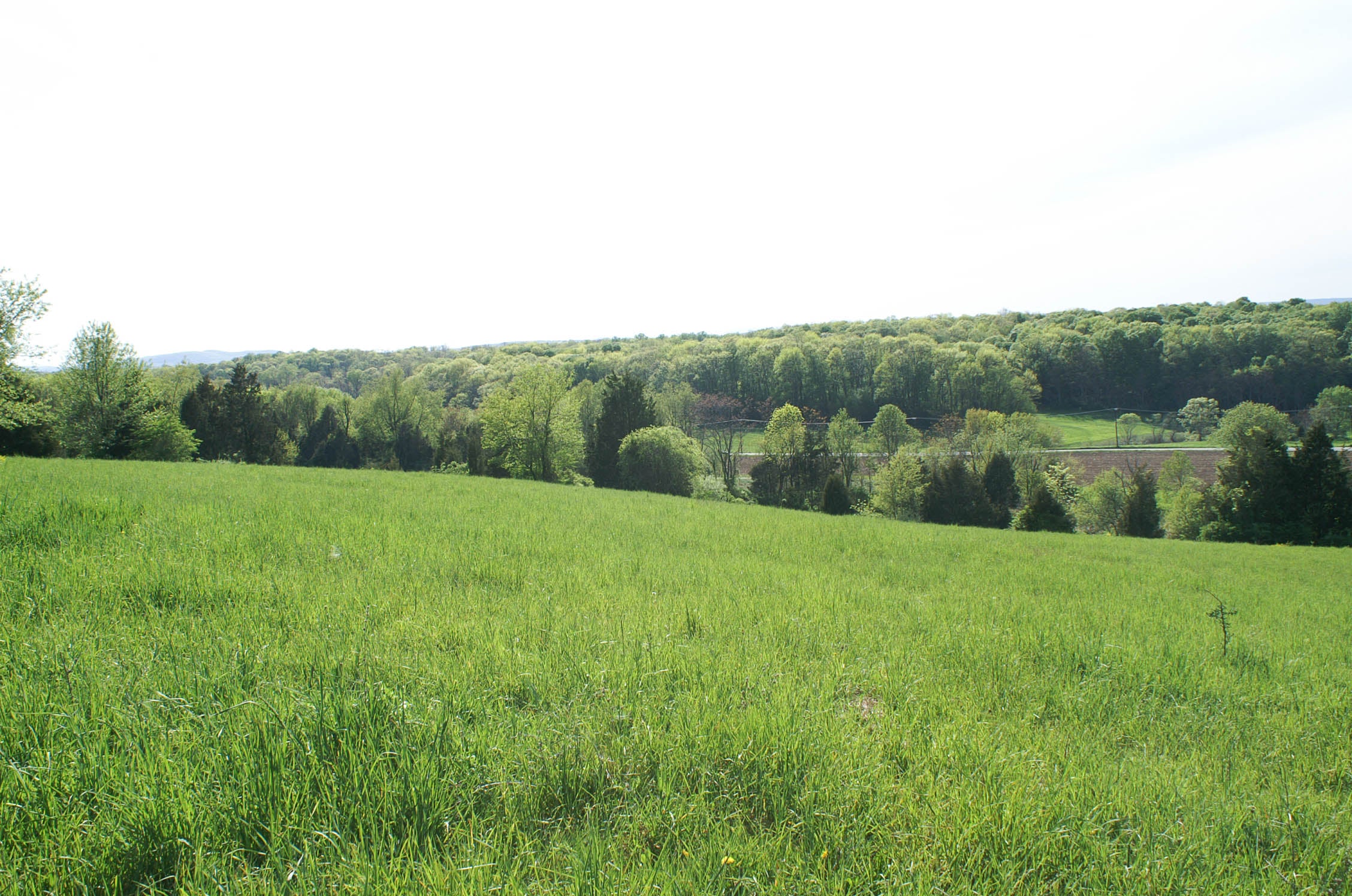 The History of Earth Day