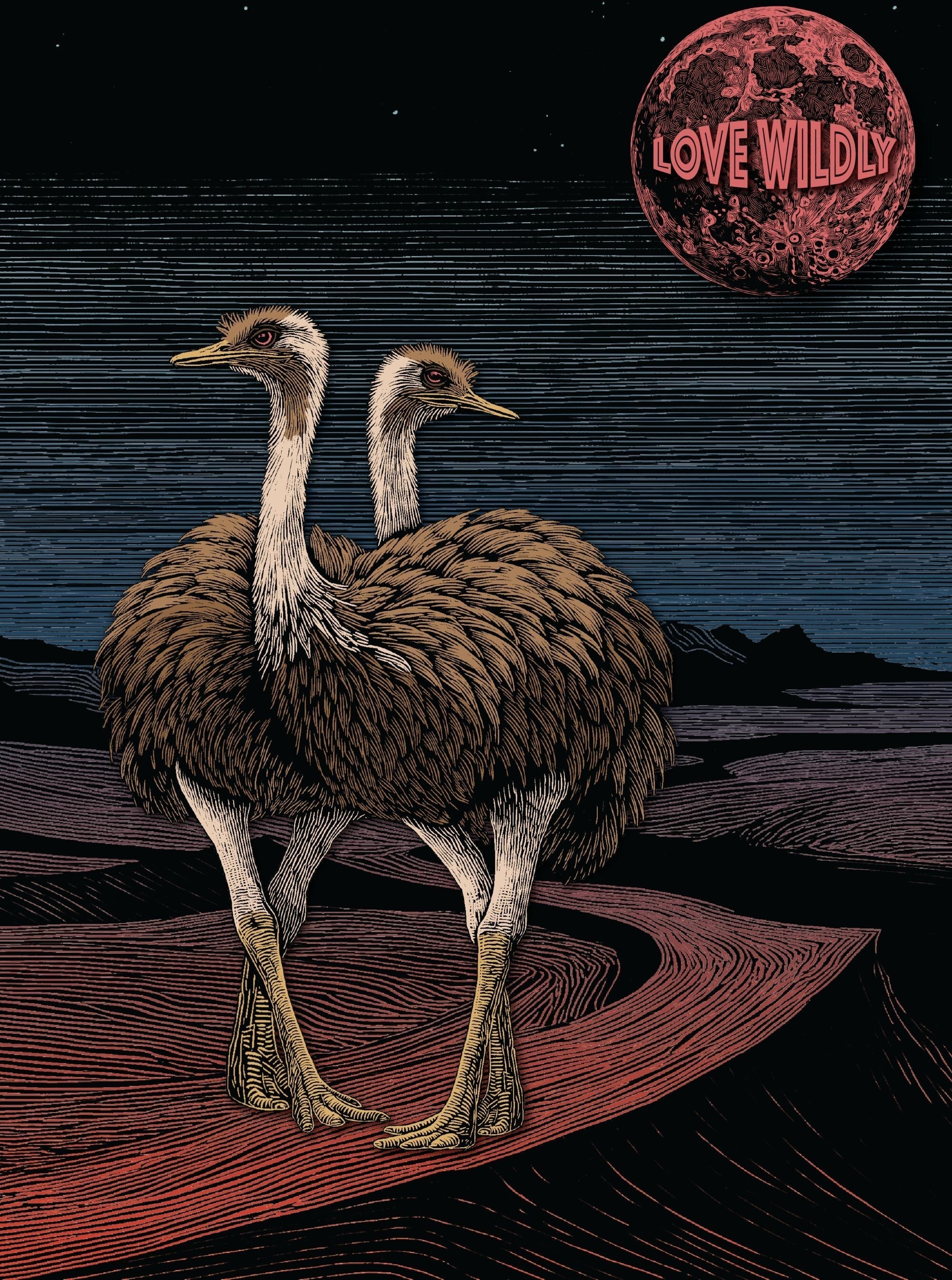 Love Wildly: A Practice, Not a Performance