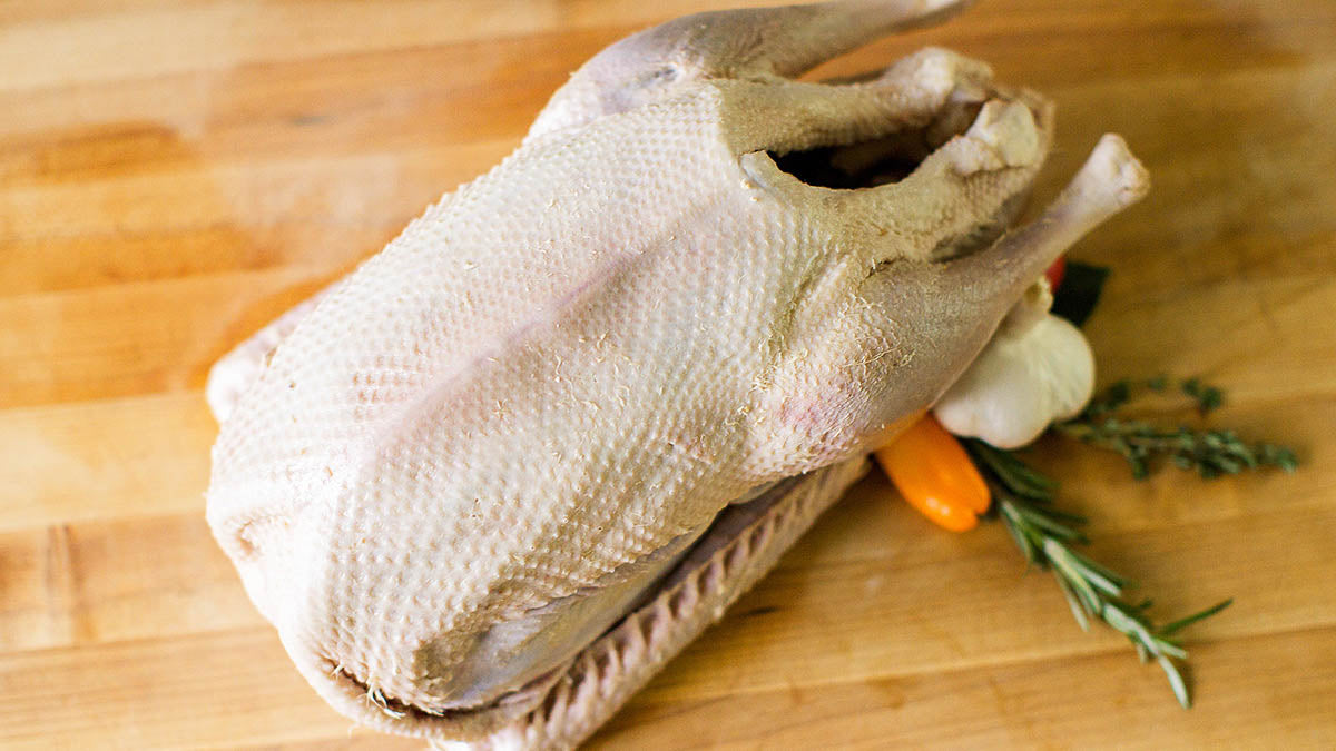 Goose