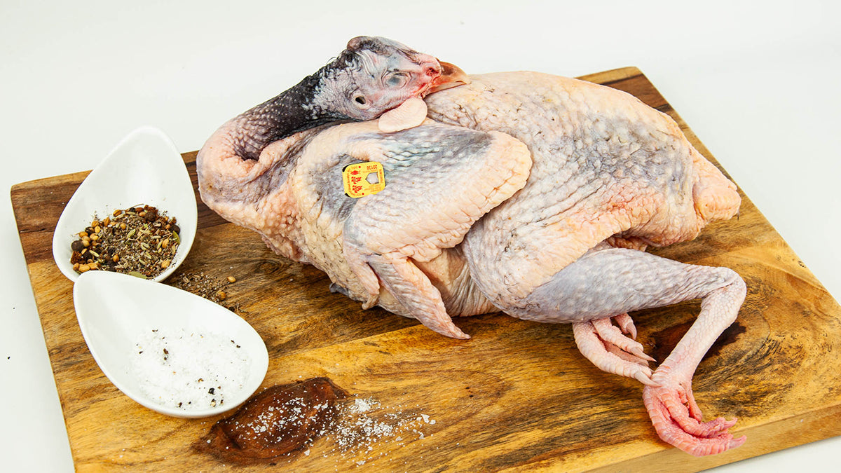 Guinea Hen