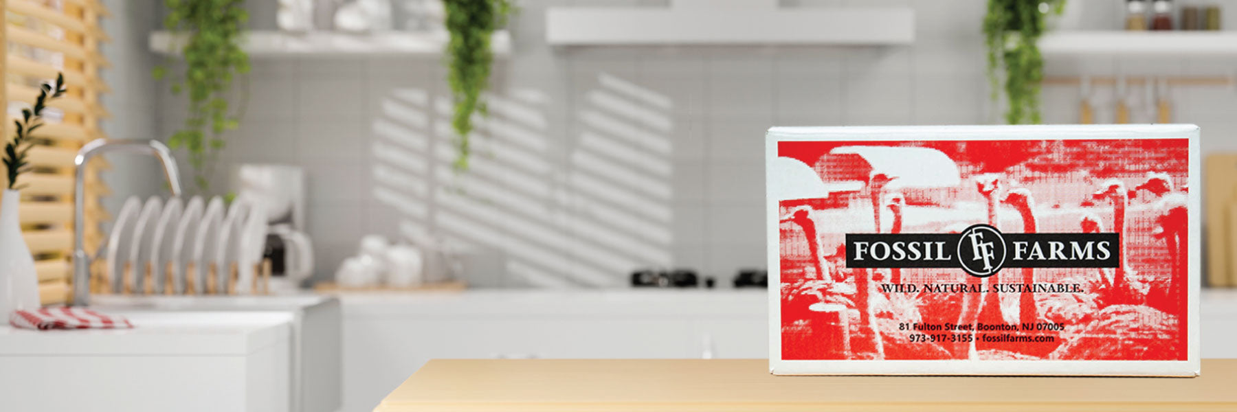 free shipping on orders over $199