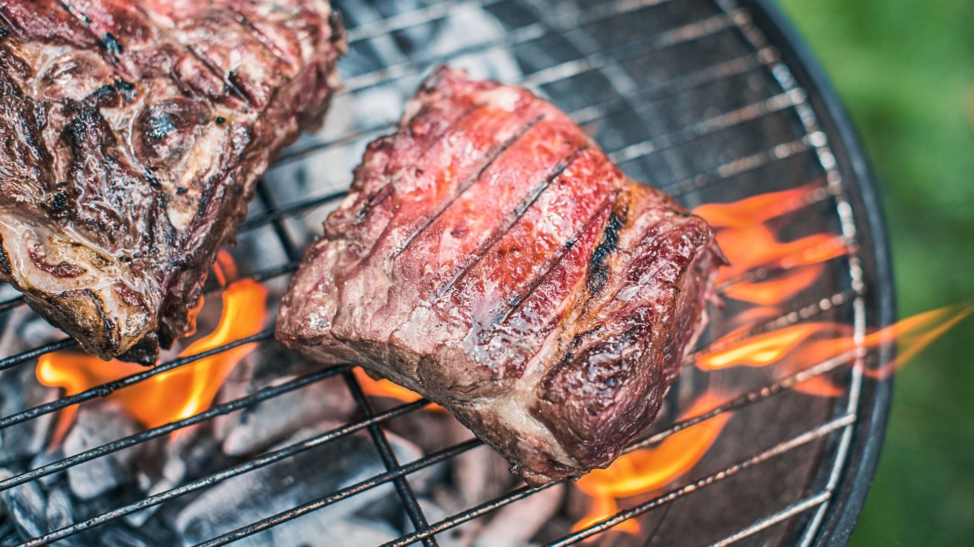 Cannonball Carnivore