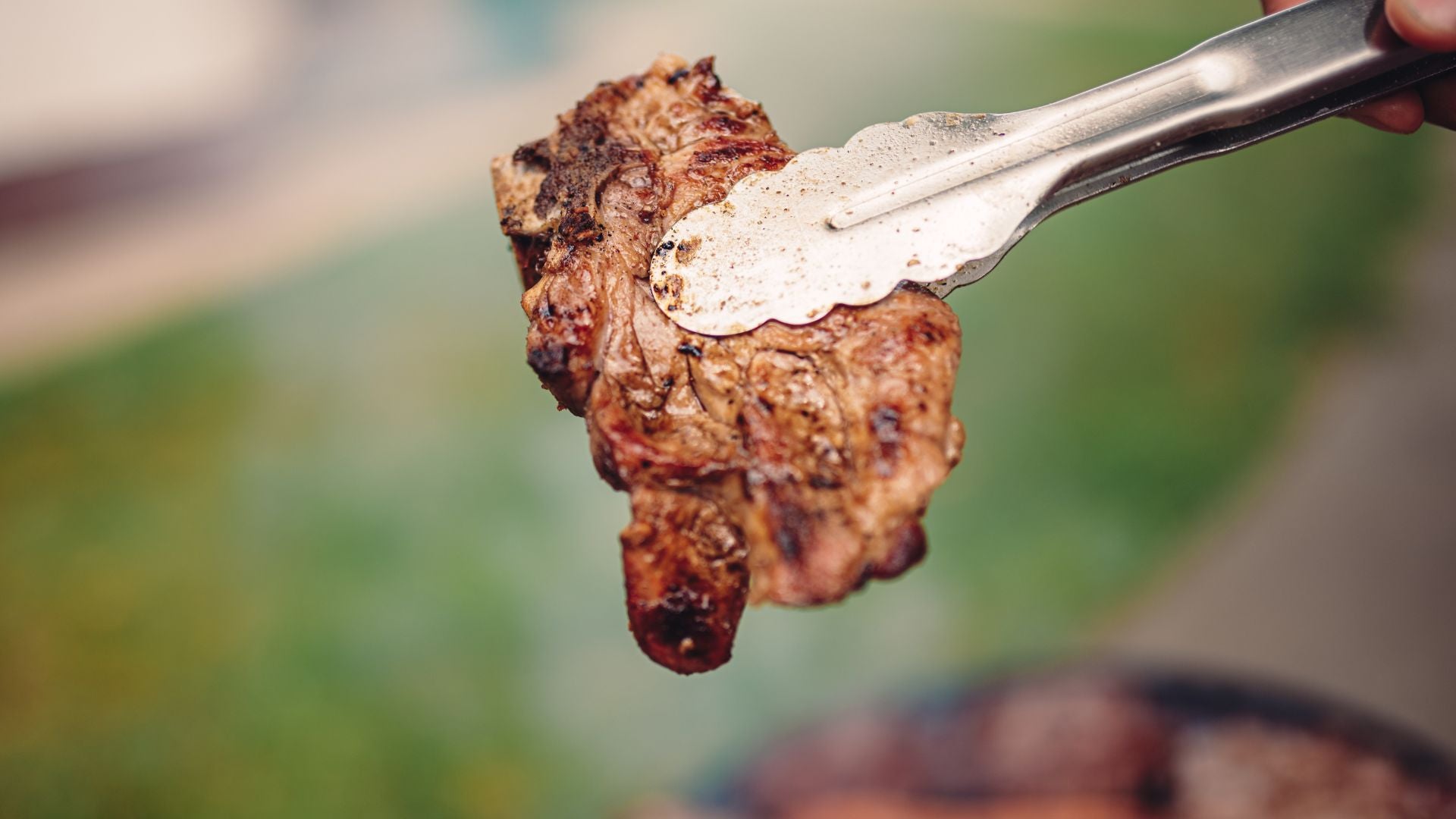 Cannonball Carnivore