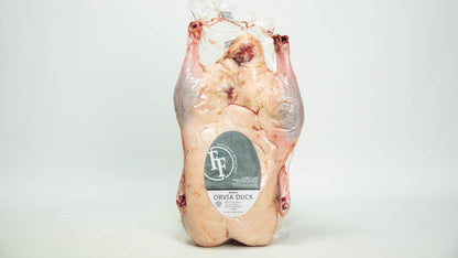 Orvia Duck Whole