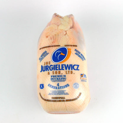 Duckling with Joe Jurgielewicz & Son, Ltd. branding on a white background