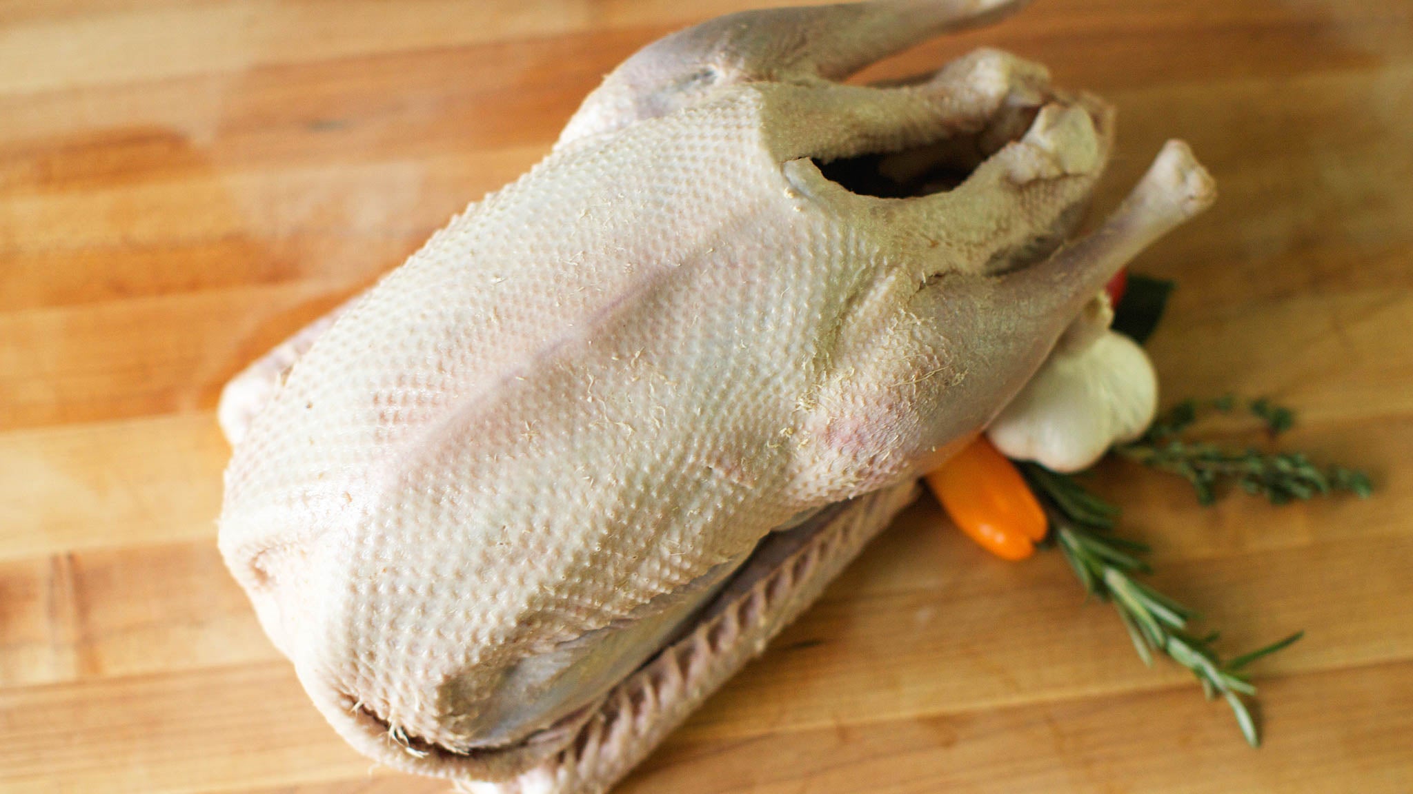 Raw Goose Fossil Farms