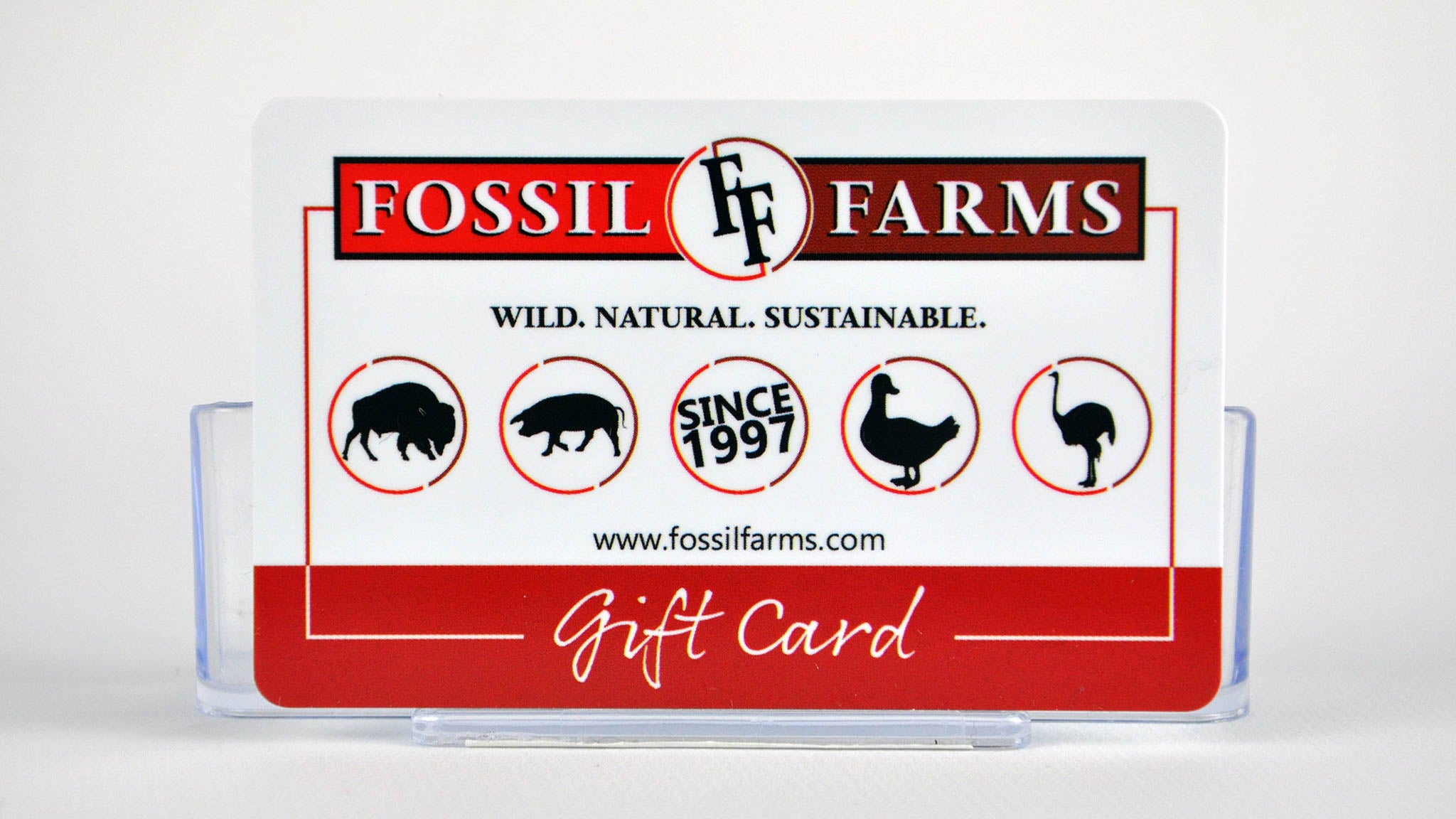 Fossil gifts sale