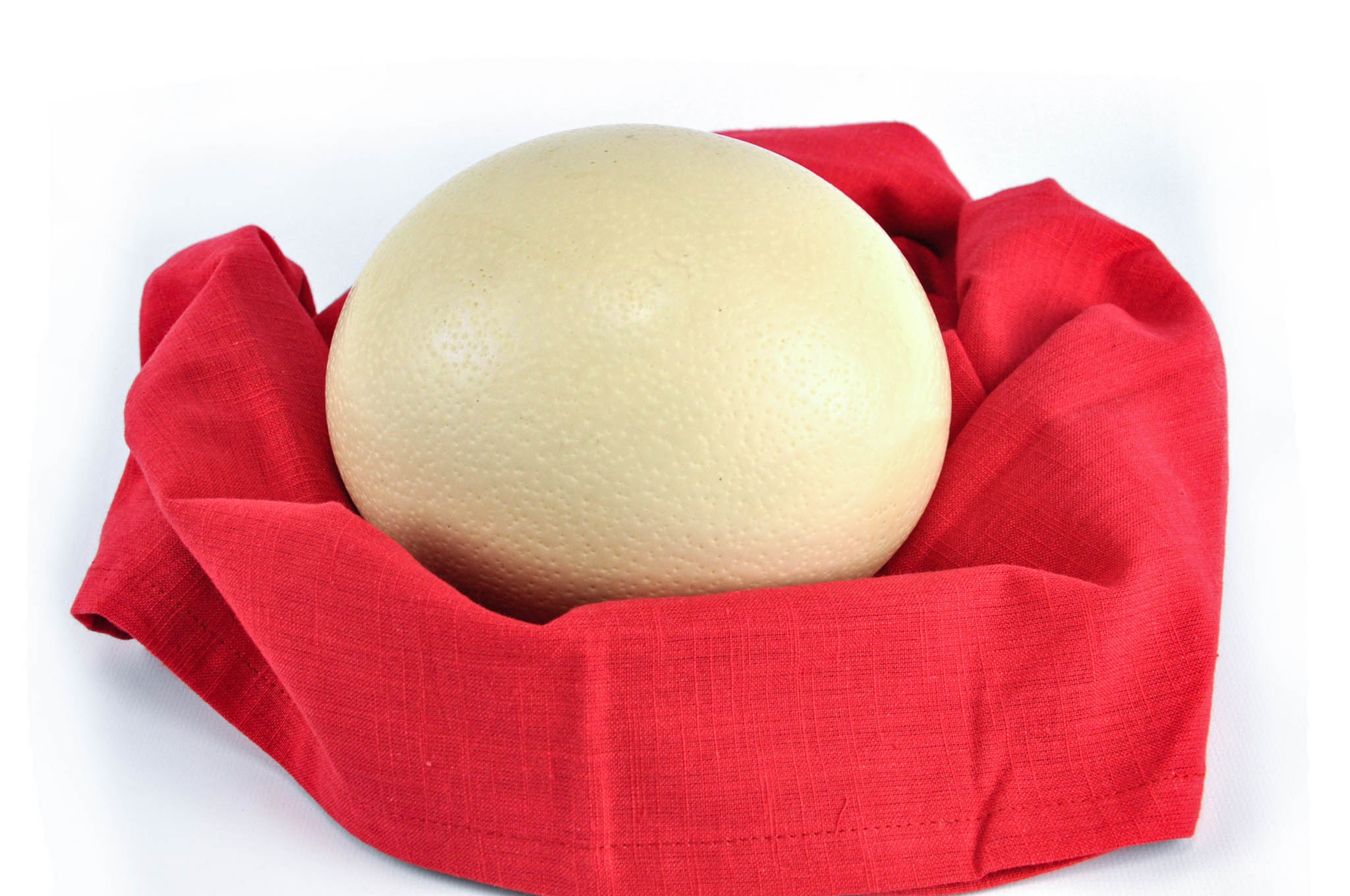 Ostrich Egg (Fresh) Seasonal